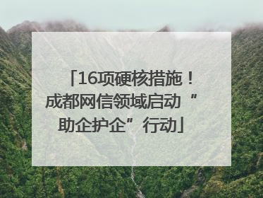 16项硬核措施！成都网信领域启动“助企护企”行动