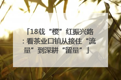 18载“樱”红振兴路：看茶业口镇从接住“流量”到深耕“留量”