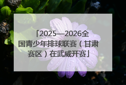 2025—2026全国青少年排球联赛（甘肃赛区）在武威开赛