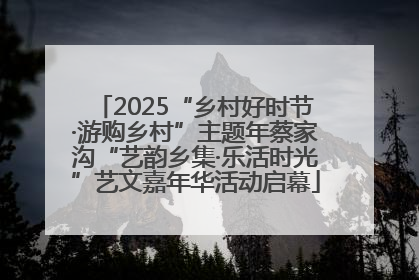 2025“乡村好时节·游购乡村”主题年蔡家沟“艺韵乡集·乐活时光”艺文嘉年华活动启幕