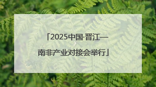 2025中国·晋江—南非产业对接会举行