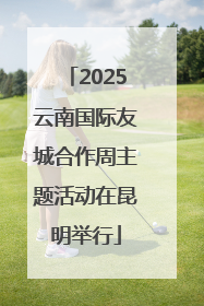 2025云南国际友城合作周主题活动在昆明举行