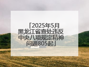 2025年5月黑龙江省查处违反中央八项规定精神问题805起