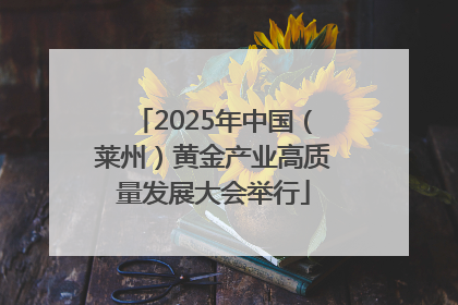 2025年中国（莱州）黄金产业高质量发展大会举行