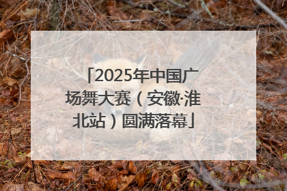 2025年中国广场舞大赛（安徽·淮北站）圆满落幕