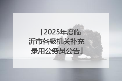 2025年度临沂市各级机关补充录用公务员公告