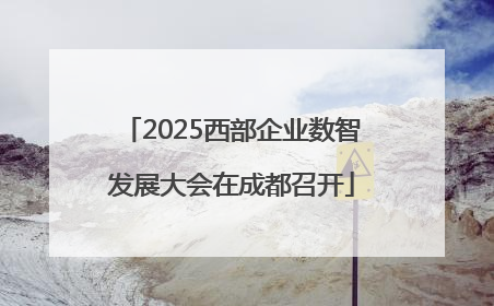 2025西部企业数智发展大会在成都召开
