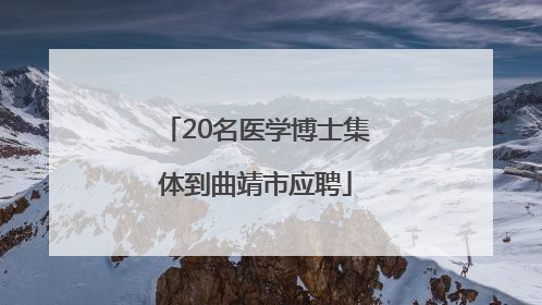 20名医学博士集体到曲靖市应聘