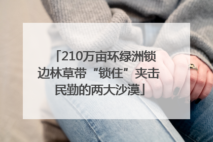 210万亩环绿洲锁边林草带“锁住”夹击民勤的两大沙漠