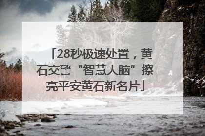 28秒极速处置，黄石交警“智慧大脑”擦亮平安黄石新名片