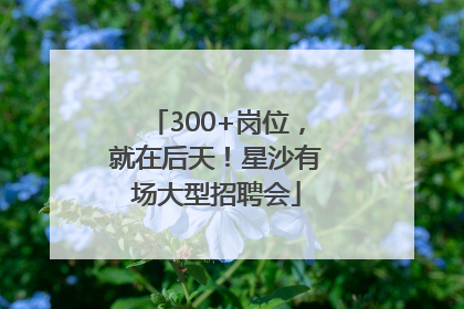 300+岗位，就在后天！星沙有场大型招聘会