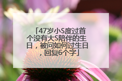 47岁小S度过首个没有大S陪伴的生日，被问如何过生日，回复6个字