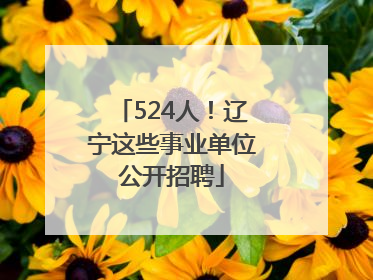 524人！辽宁这些事业单位公开招聘
