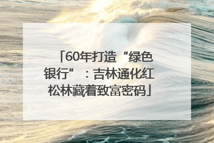 60年打造“绿色银行”：吉林通化红松林藏着致富密码