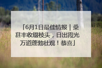 6月1日最佳情报｜桑葚丰收缀枝头，日出霞光万道蓬勃壮观！恭喜