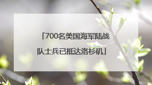 700名美国海军陆战队士兵已抵达洛杉矶