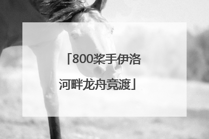 800桨手伊洛河畔龙舟竞渡