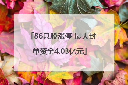 86只股涨停 最大封单资金4.03亿元