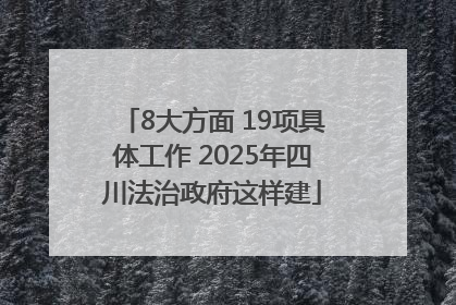8大方面 19项具体工作 2025年四川法治政府这样建