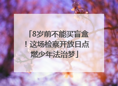 8岁前不能买盲盒！这场检察开放日点燃少年法治梦