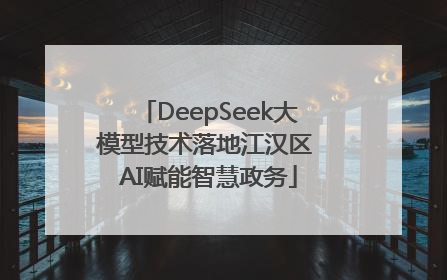 DeepSeek大模型技术落地江汉区 AI赋能智慧政务