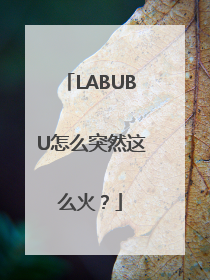 LABUBU怎么突然这么火？