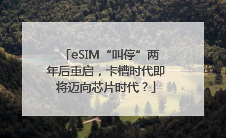 eSIM“叫停”两年后重启，卡槽时代即将迈向芯片时代？